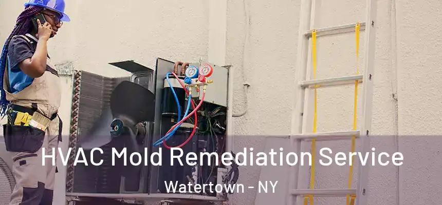  HVAC Mold Remediation Service Watertown - NY