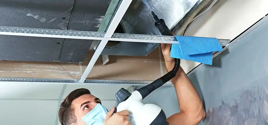 Our Air Duct Rodent Removal Services in Watertown, NY