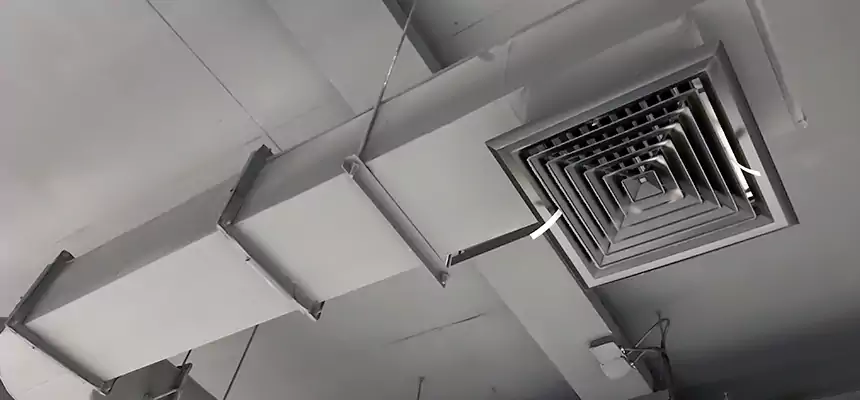 Our Pest Removal From Ducts Services in Watertown, NY