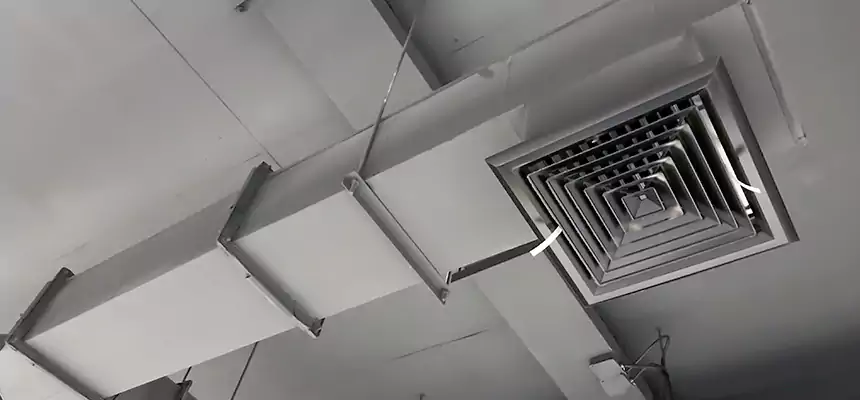 Our Rodent Droppings In Vents Services in Watertown, NY