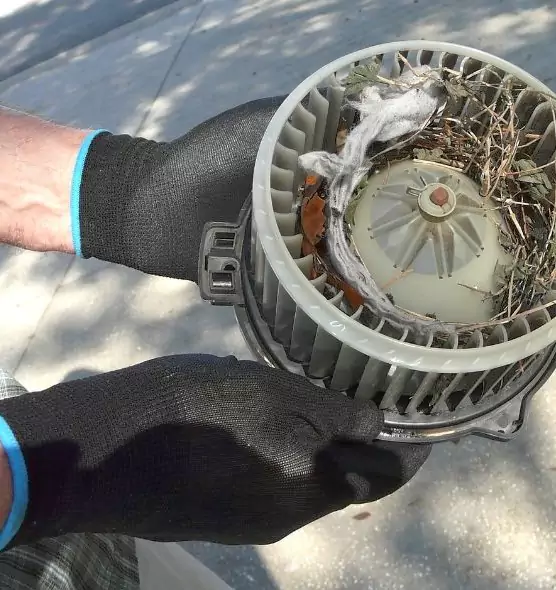 About Air Duct Mice Removal in Watertown, NY